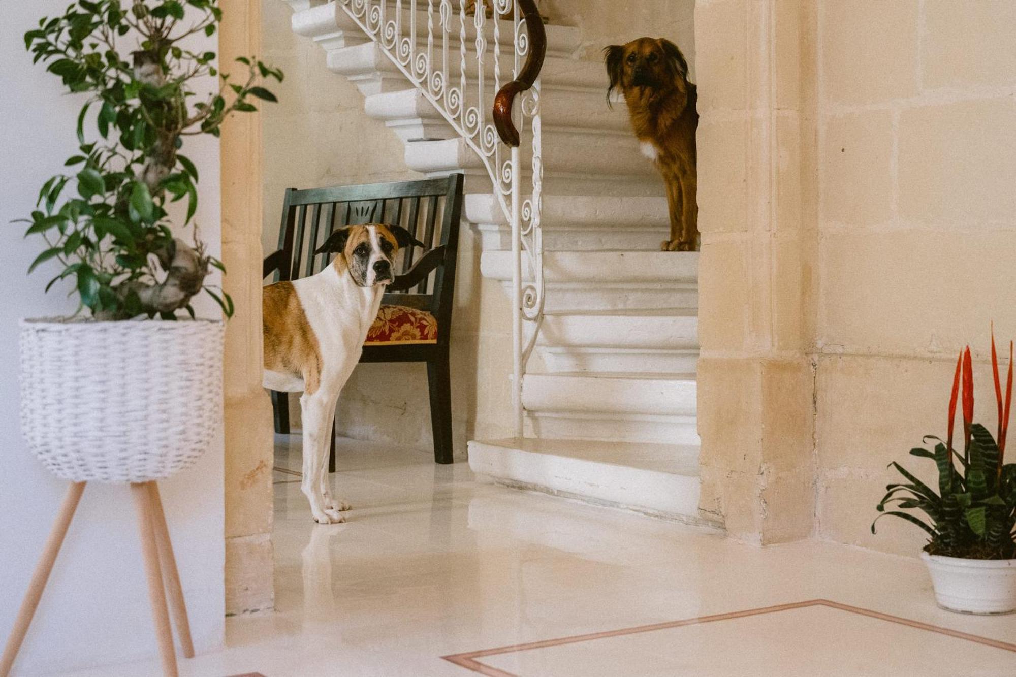 Tinja Bnb Sliema Bagian luar foto